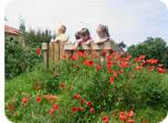 La collina dei tulipani con scivolo al nido